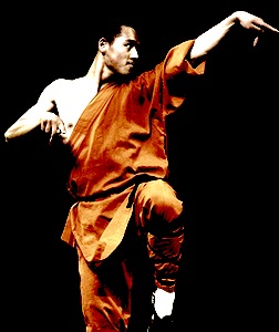 kung fu monk