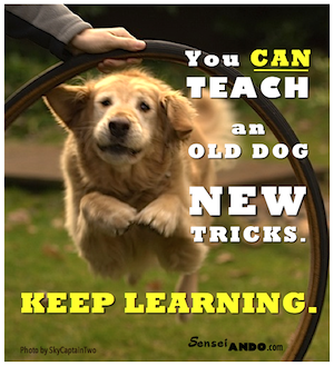 You CAN teach an old dog new tricks! Keep learning!
